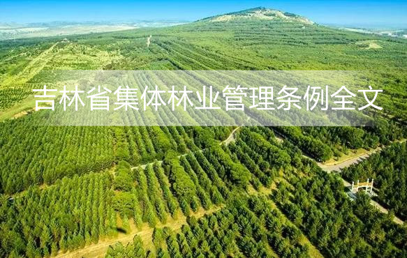 吉林省集体林业管理条例全文
