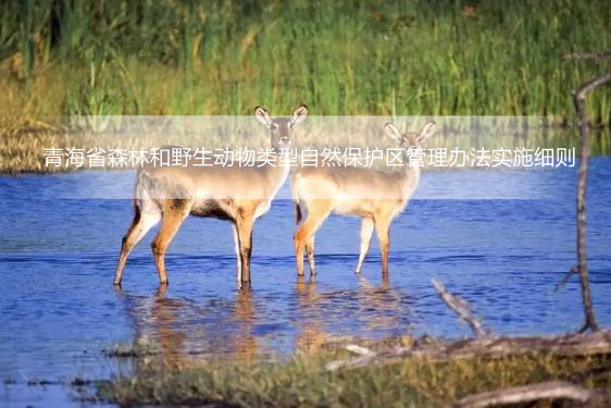 青海省森林和野生动物类型自然保护区管理办法实施细则