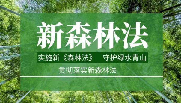 中华人民共和国森林法最新修订【全文】