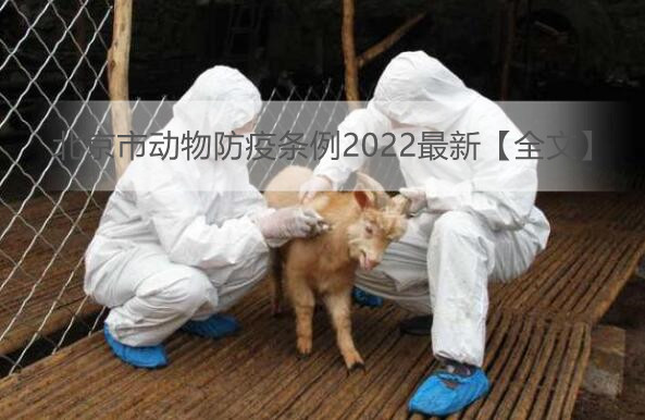 北京市动物防疫条例2022最新【全文】