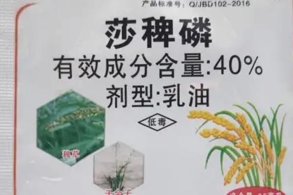 莎稗磷的用法及注意事项